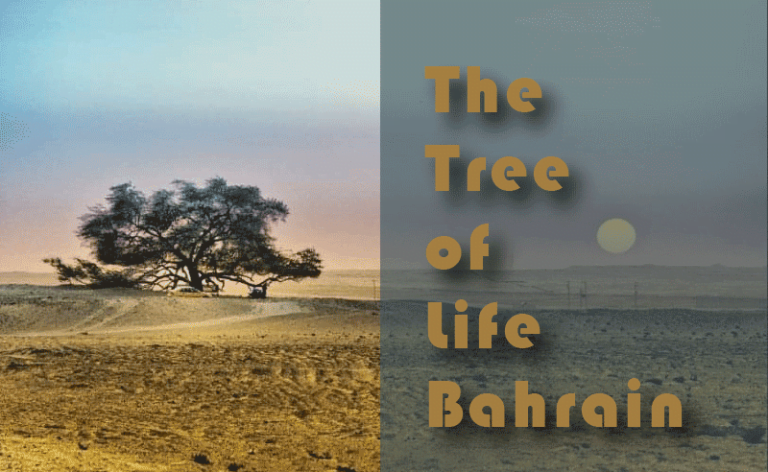 Tree of life Bahrain