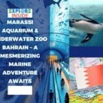 Dive Into Wonder at Marassi Aquarium & Underwater Zoo Bahrain