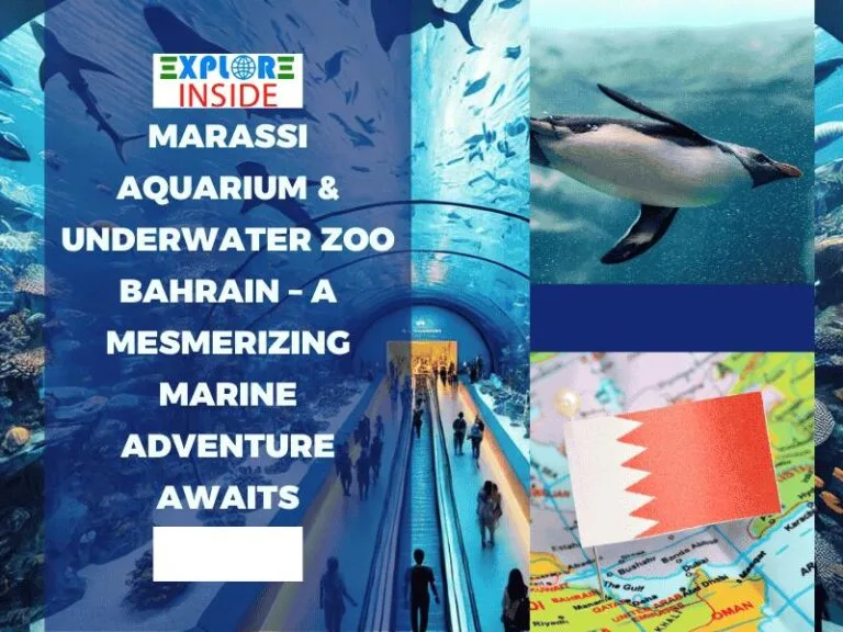 Dive Into Wonder at Marassi Aquarium & Underwater Zoo Bahrain